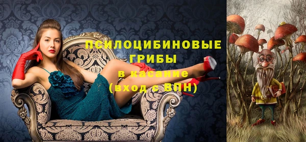 стаф Алзамай