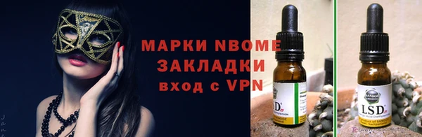 стаф Алзамай