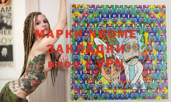 стаф Алзамай
