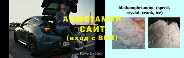 стаф Алзамай