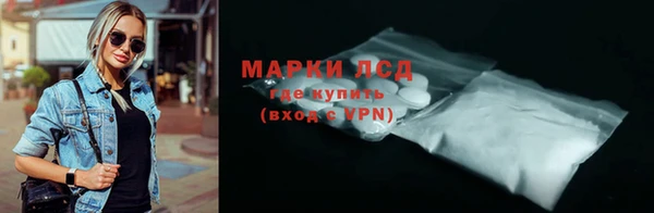 индика Пересвет
