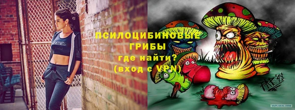 прущие крисы Алексин